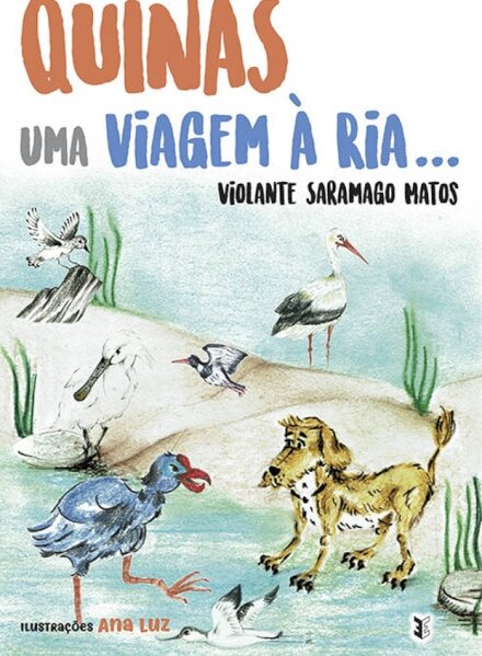 Quinas - Uma Viagem à Ria...