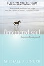 The Untethered Soul: The Journey Beyond