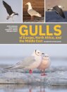 Gulls of Europe, North Africa, and the Middle East