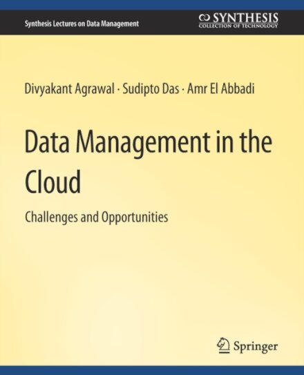 Data Management in the Cloud