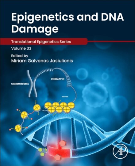 Epigenetics and DNA Damage
