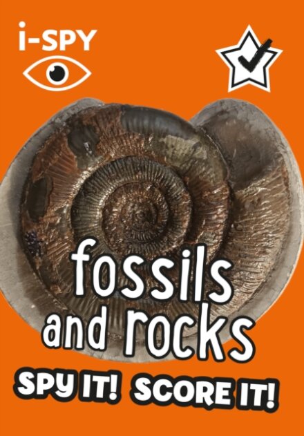 I Spy Fossils And Rocks