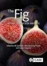 The Fig