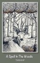 A Spell in The Woods