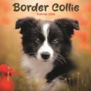 Border Collie Puppies Square Mini Calend