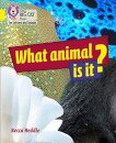 What Animal is It?