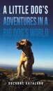 Little Dog’s Adventures in a Big Dog’s World