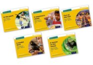 Read Write Inc. Phonics: Yellow Set 5 Non-fiction books (Mixed Pack of 5)