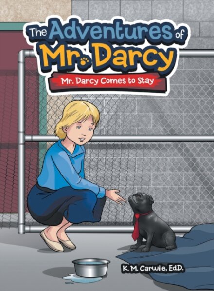 The Adventures of Mr. Darcy