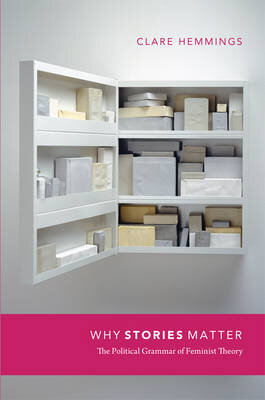 Why Stories Matter : The Political Grammar of Feminist Theory