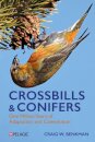 Crossbills and Conifers