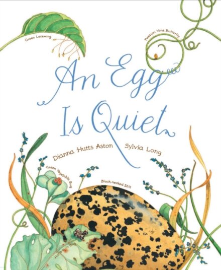 Egg is quiet