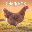 Chickens Calendar 2026  Square Farm Animals & Birds Wall Calendar - 16 Month