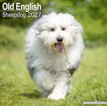Old English Sheepdog SS Wall