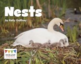 Nests