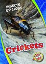 Crickets