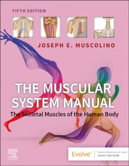 The Muscular System Manual : The Skeletal Muscles of the Human Body