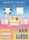 Mapa Shiatsu Facial