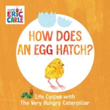 How Does An Egg Hatch?