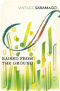 Raised from the Ground