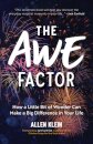 The Awe Factor