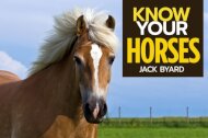 Know Your Horses