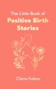 The Little Book of Positive Birth Stories
