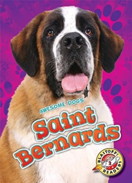 Saint Bernards