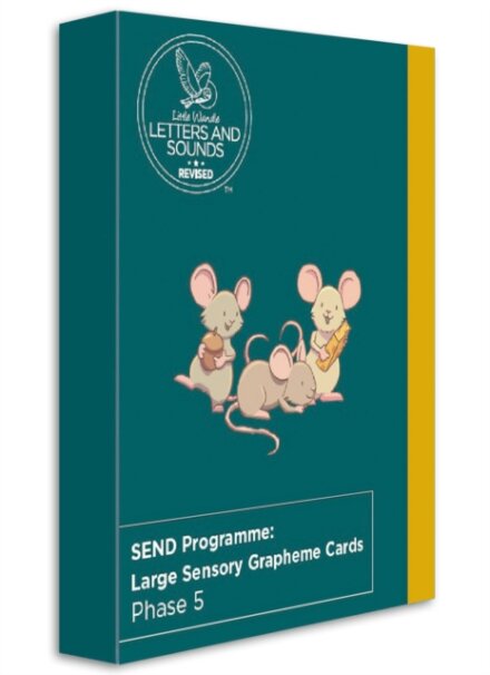 SEND Programme: Large Sensory Grapheme Cards