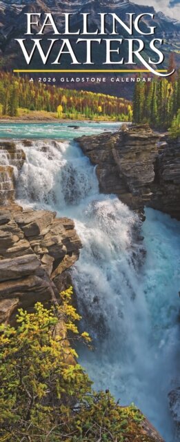 Falling Waters Deluxe Slim Sunday Start