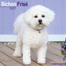 Bichon Frise Wall