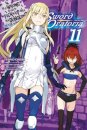 Is It Wrong to Try to Pick Up Girls in a Dungeon? On the Side: Sword Oratoria, Vol. 11 (light novel)