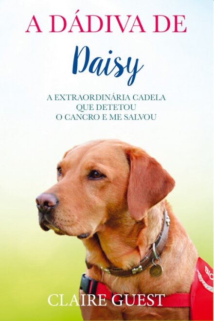 A Dádiva de Daisy