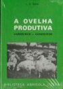 A Ovelha Produtiva
