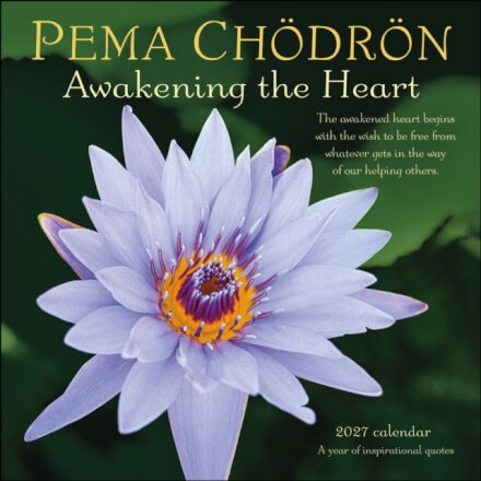 Pema Chodron 2027 Wall Calendar