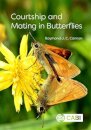 Courtship and Mating in Butterflies
