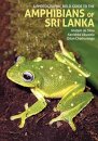 A Photographic Field Guide to the Amphibians of Sri Lanka
