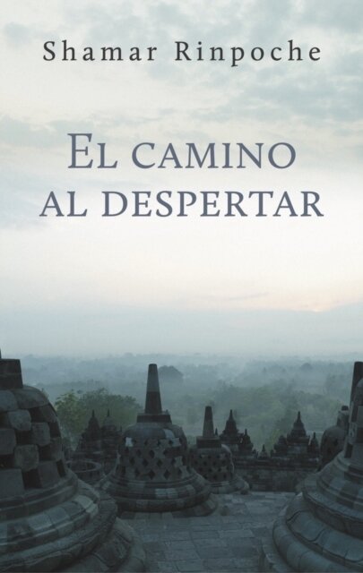El camino al despertar