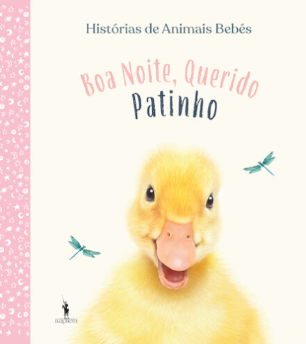 Boa Noite, Querido Patinho