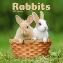 Rabbits Wall / AVONSI