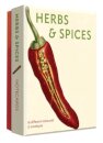 Herbs and Spices - Notecard Set