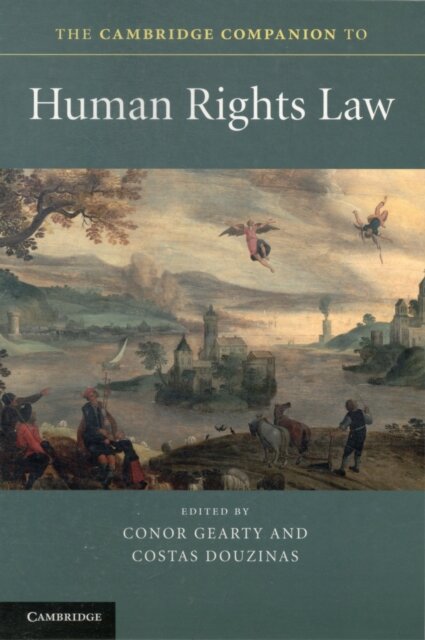 The Cambridge companion to human rights law