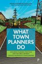 What Town Planners Do
