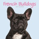 French Bulldogs Mini