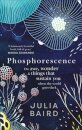 Phosphorescence