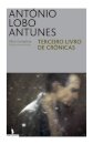 Terceiro Livro De Cronicas (NV)