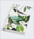 Warbling Flycatcher, James Audubon 8-Pen Set