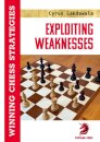 Exploiting Weaknesses