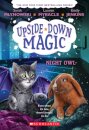 Night Owl (Upside-Down Magic #8)