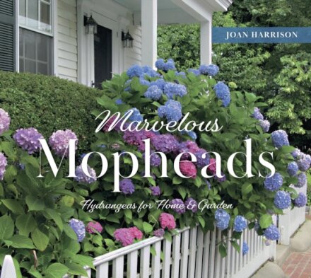 Marvelous Mopheads